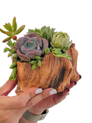4-inch faux wood succulent arrangement 4-inch faux wood succulent arrangement