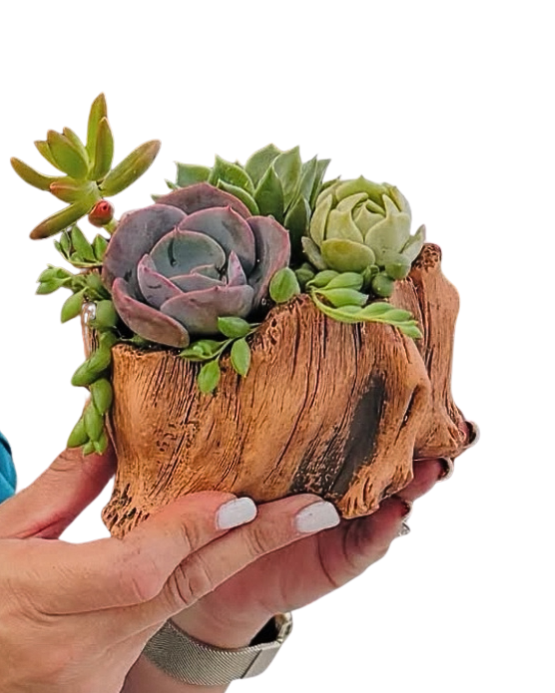 4-inch faux wood succulent arrangement