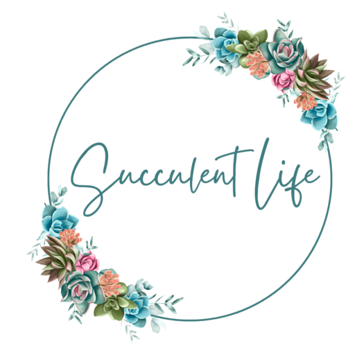 Succulent Life
