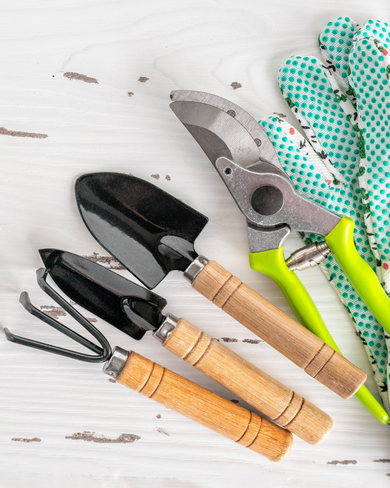 Succulent Christmas Ornament Workshop Coconur Creek