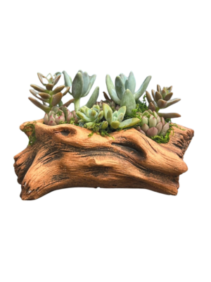 6-inch faux wood succulent arrangement 6-inch faux wood succulent arrangement