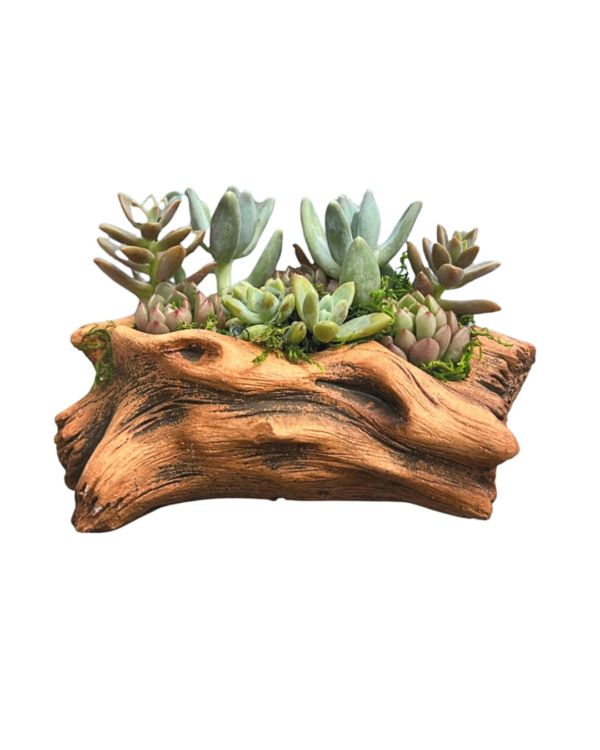 6-inch faux wood succulent arrangement 6-inch faux wood succulent arrangement
