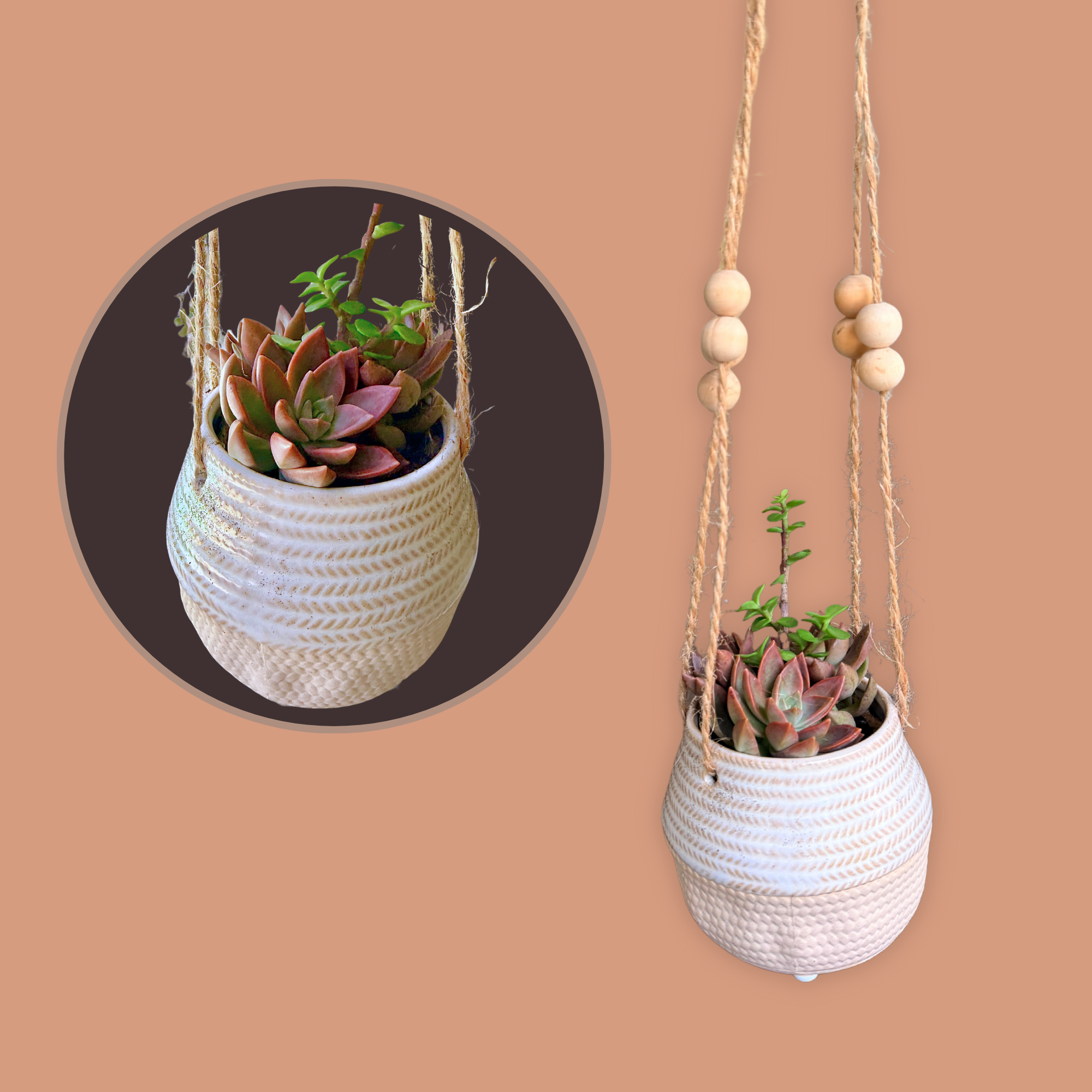 Hanging Succulent Arrangement