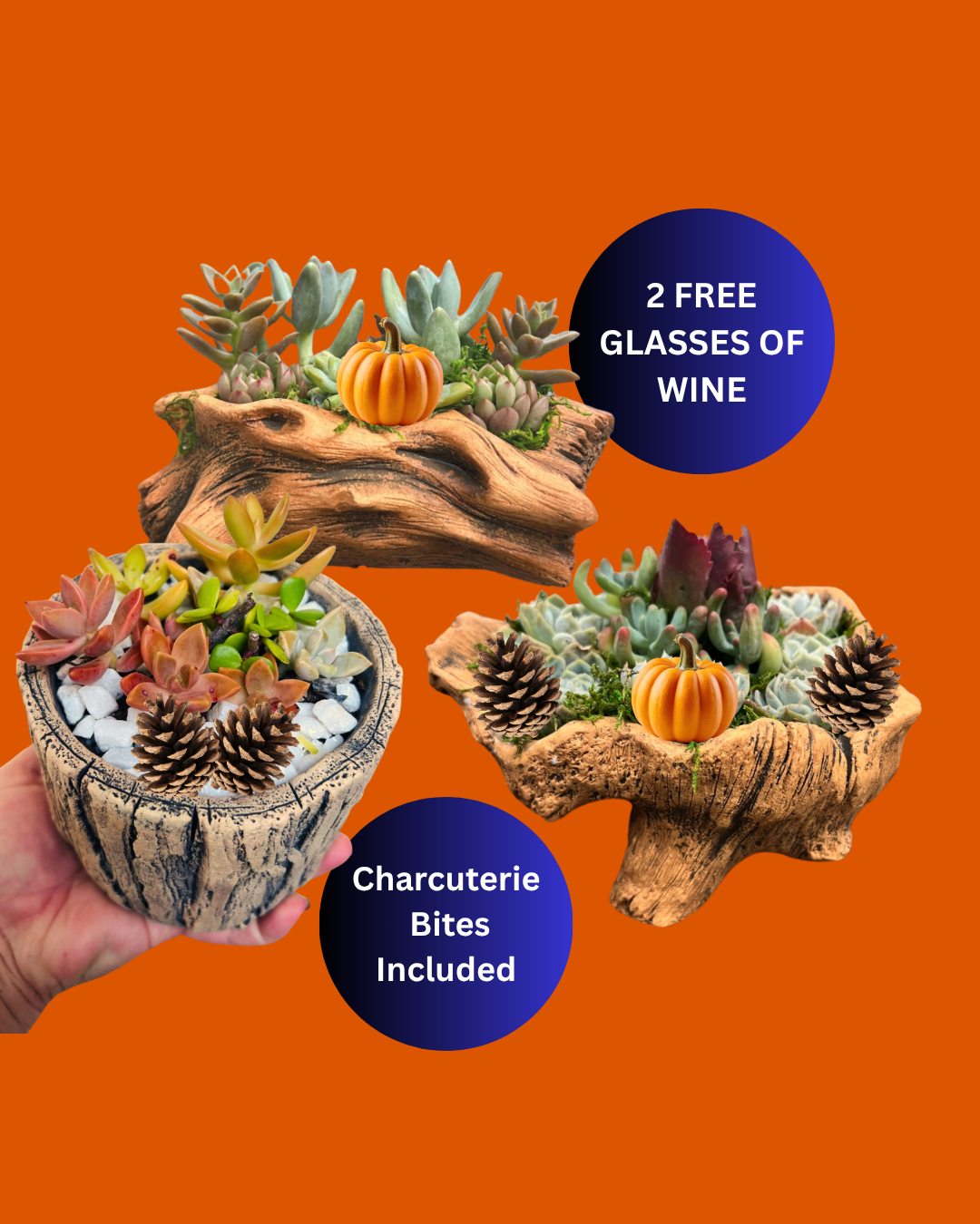 11/22 Fall Succulent Arrangement Workshop (Pompano Beach) — 6:00 PM (Coupon Code: EarlyBirdHub)