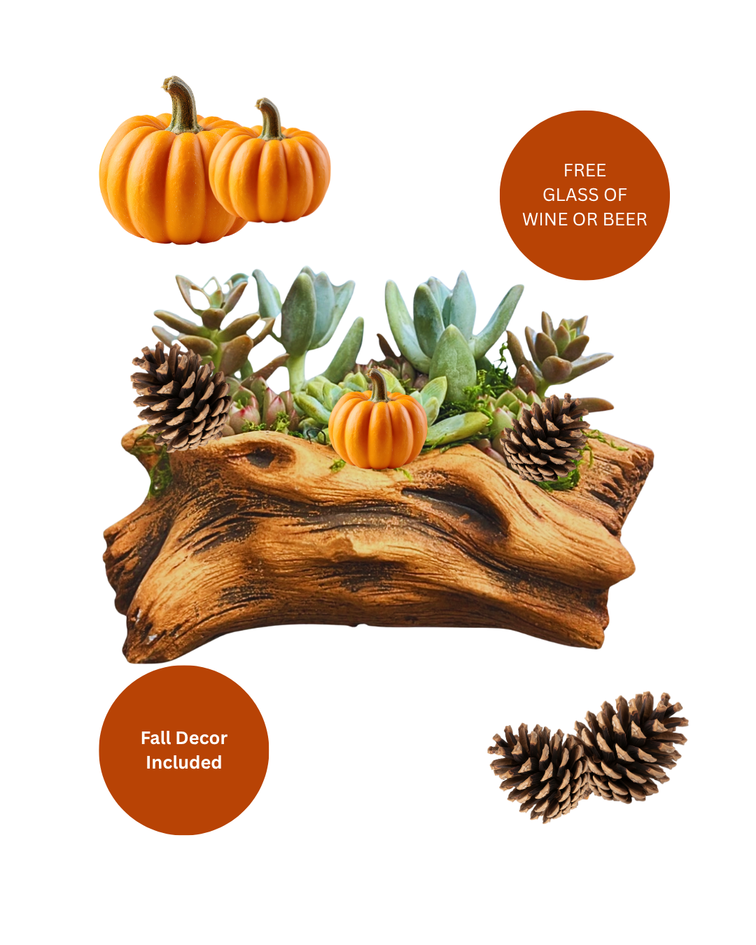 11/25 Fall Succulent Arrangement Workshop (Coral Springs) — 6:00 PM