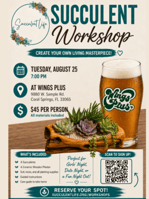 Coral Springs Succulent Workshop | Wings Plus Coral Springs Succulent Workshop | Wings Plus