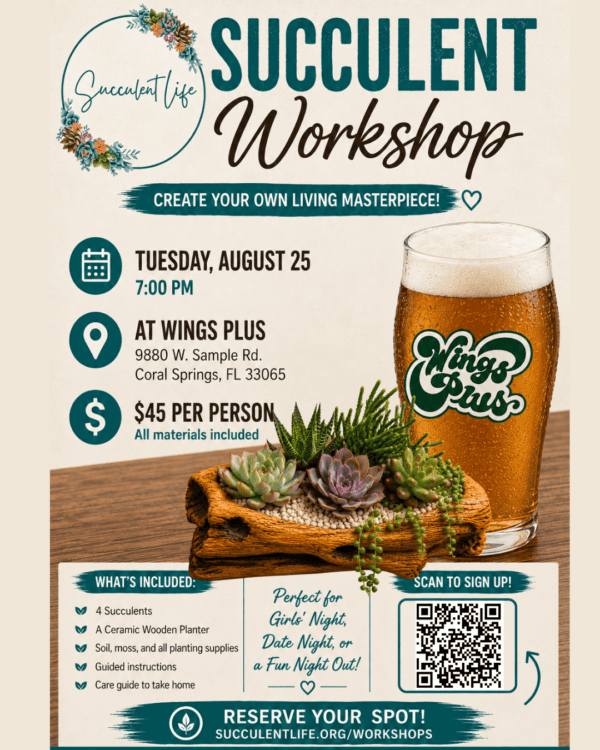 Coral Springs Succulent Workshop | Wings Plus Coral Springs Succulent Workshop | Wings Plus