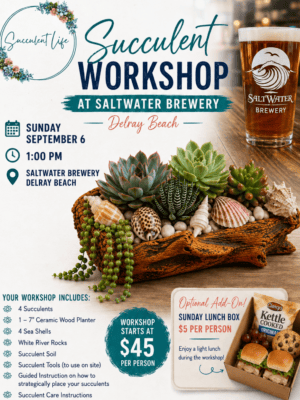 succulent workshop Delray Beach succulent workshop Delray Beach
