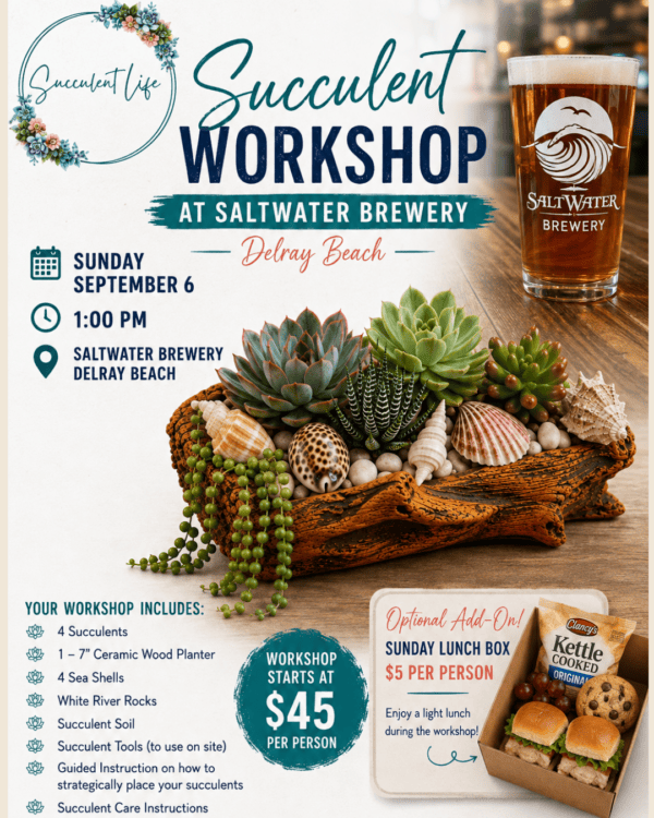 succulent workshop Delray Beach succulent workshop Delray Beach