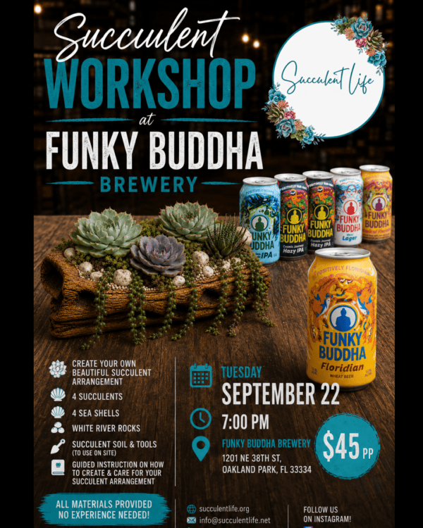 succulent workshop Fort Lauderdale succulent workshop Fort Lauderdale